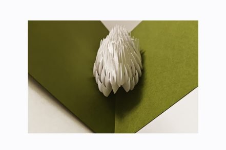 Fold immortalbloom olive white c