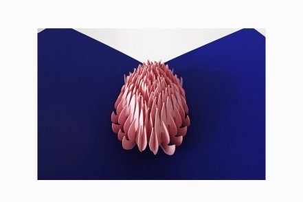 Fold immortalbloom pastelpink blue